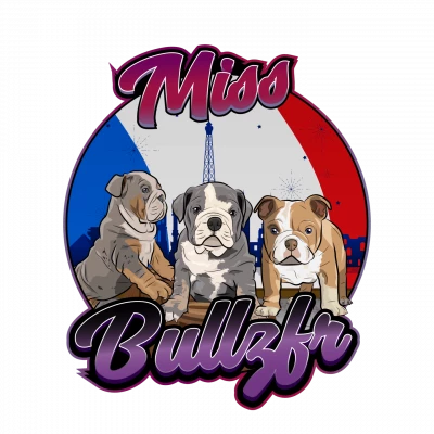 Miss Bullz, élevage Bulldog Anglais et Français